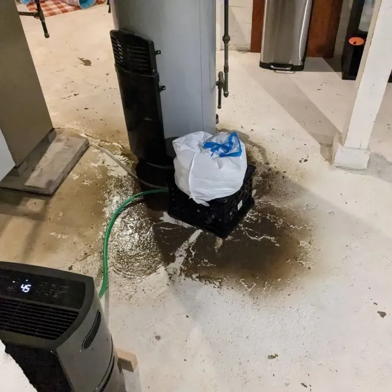 Sewage Backup Cleanup Service in Henry County, TN